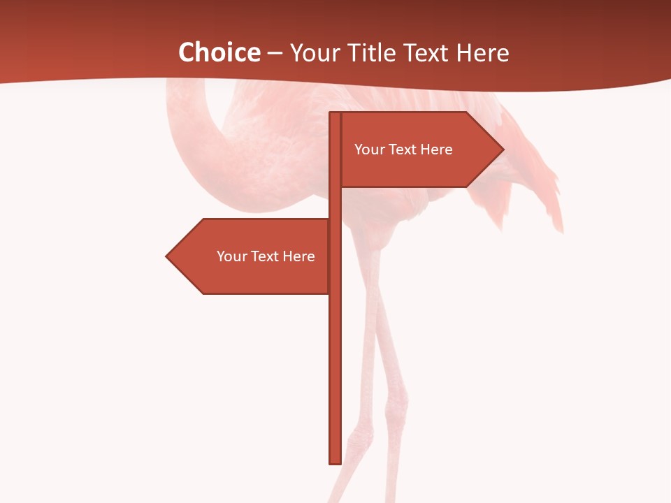 Animal Flamingo Subtropics PowerPoint Template