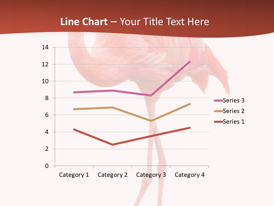 Animal Flamingo Subtropics PowerPoint Template