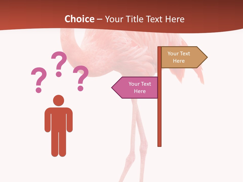 Animal Flamingo Subtropics PowerPoint Template