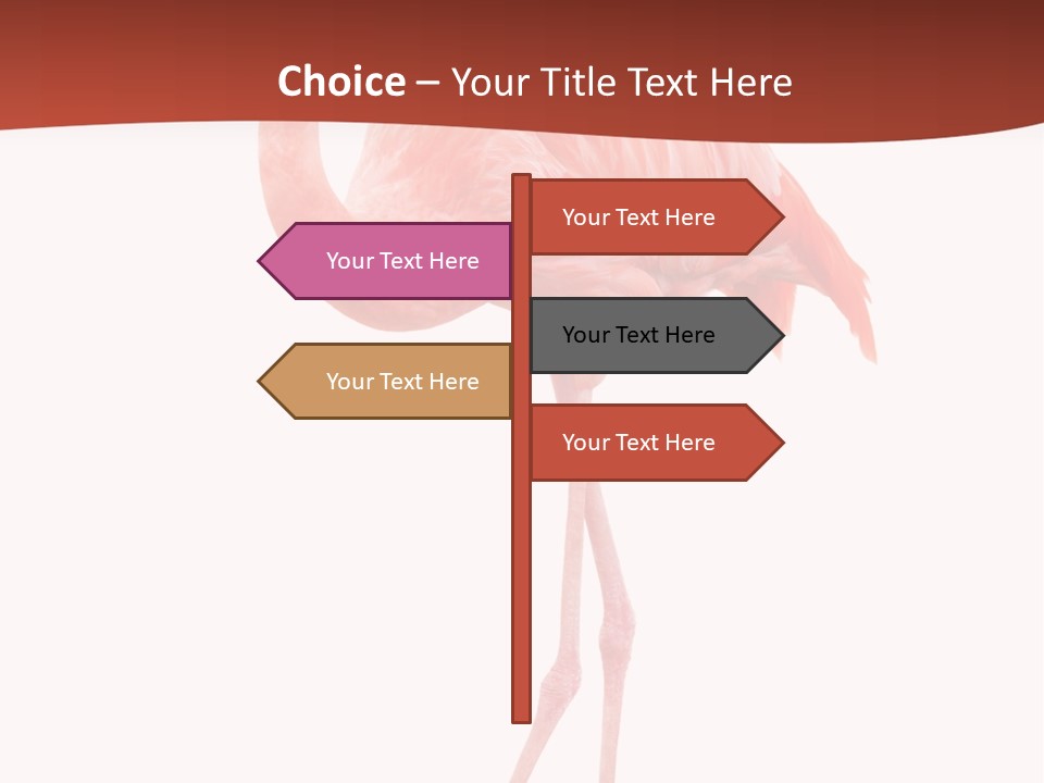 Animal Flamingo Subtropics PowerPoint Template