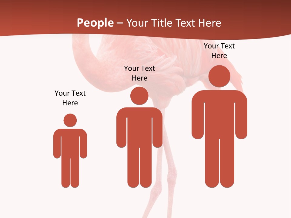 Animal Flamingo Subtropics PowerPoint Template