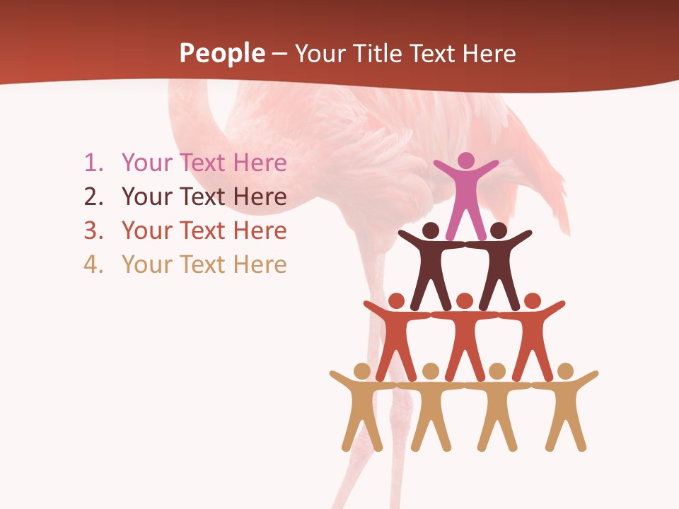 Animal Flamingo Subtropics PowerPoint Template