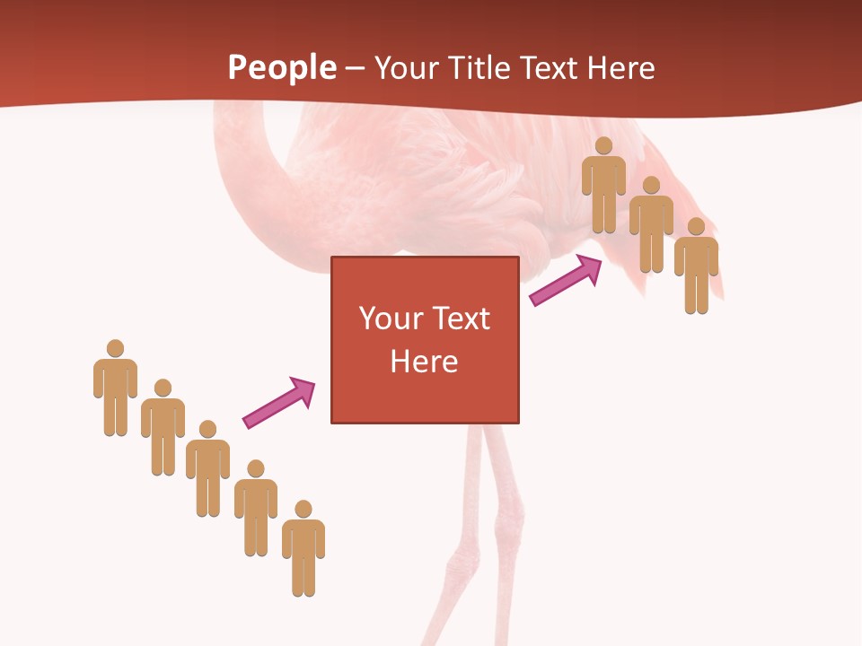 Animal Flamingo Subtropics PowerPoint Template