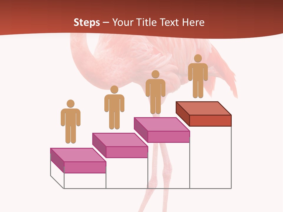 Animal Flamingo Subtropics PowerPoint Template