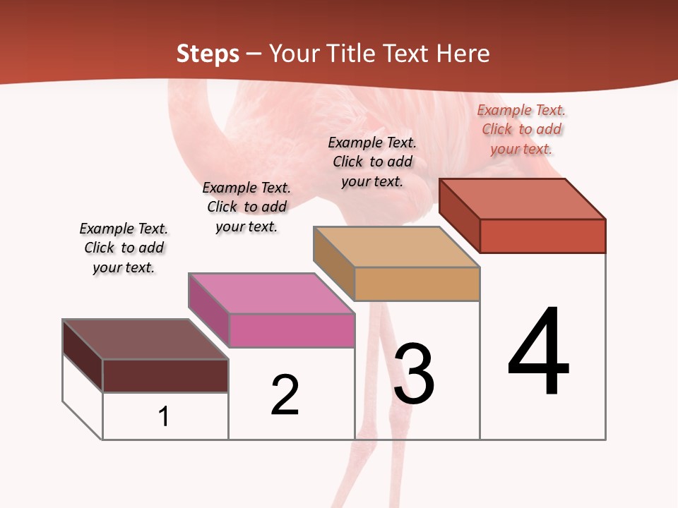 Animal Flamingo Subtropics PowerPoint Template