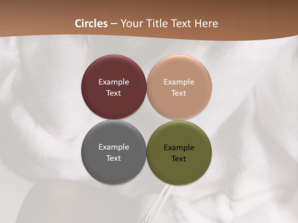 Woman Beauty Beautiful PowerPoint Template