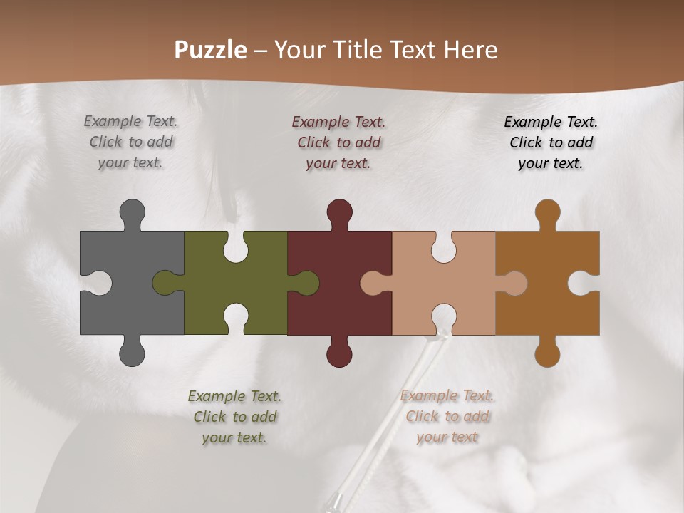 Woman Beauty Beautiful PowerPoint Template