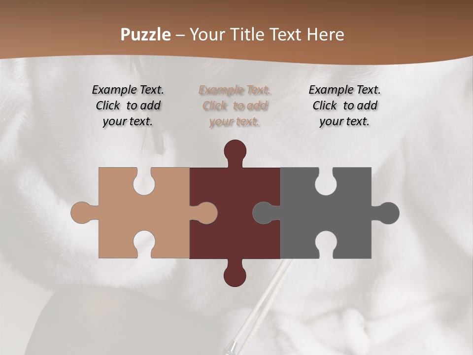 Woman Beauty Beautiful PowerPoint Template