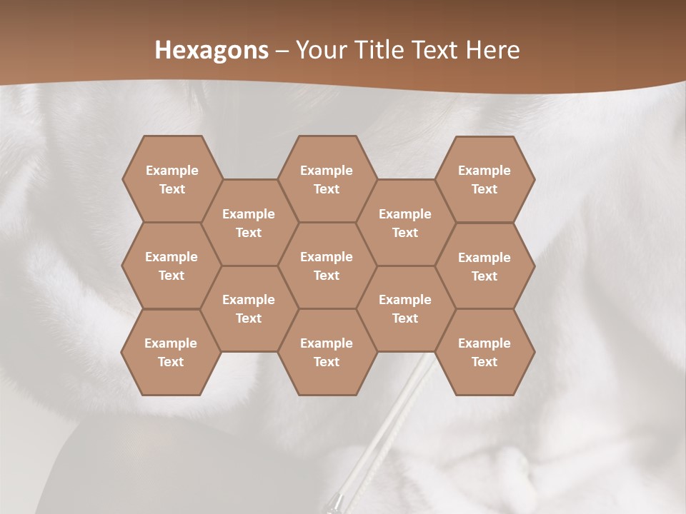 Woman Beauty Beautiful PowerPoint Template