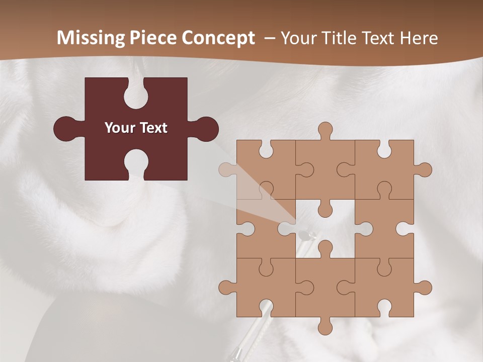 Woman Beauty Beautiful PowerPoint Template