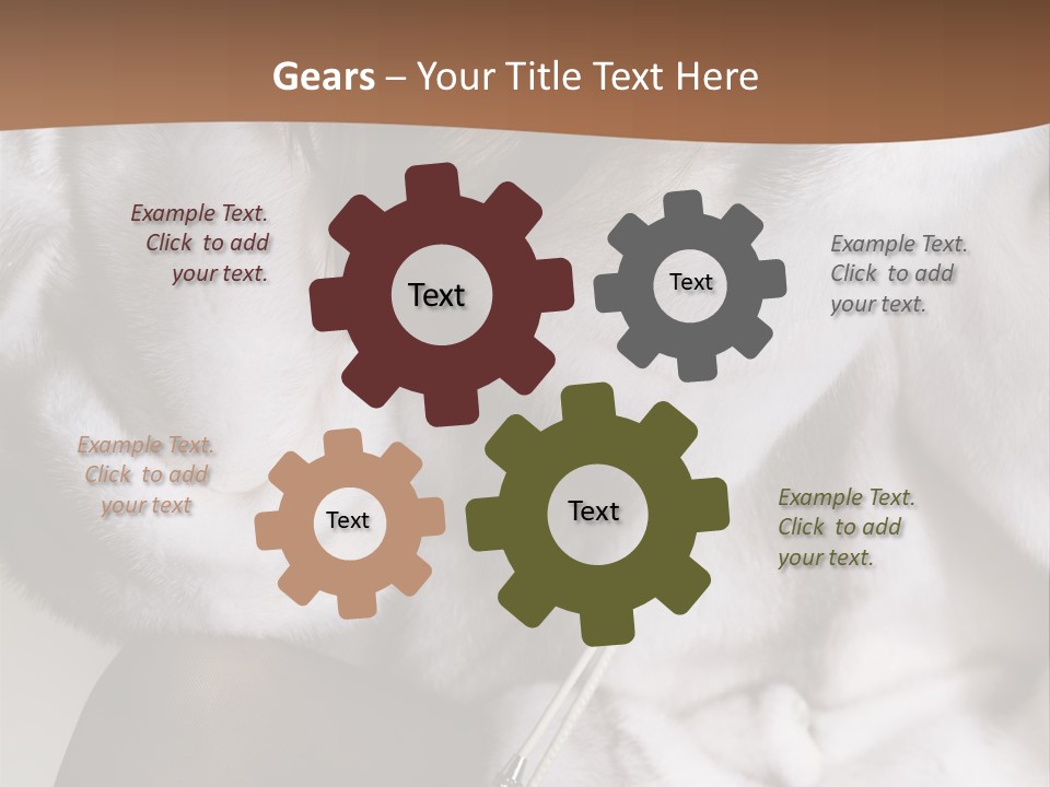 Woman Beauty Beautiful PowerPoint Template