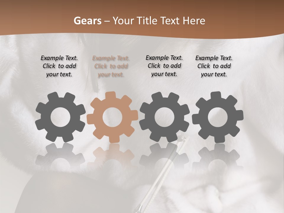 Woman Beauty Beautiful PowerPoint Template