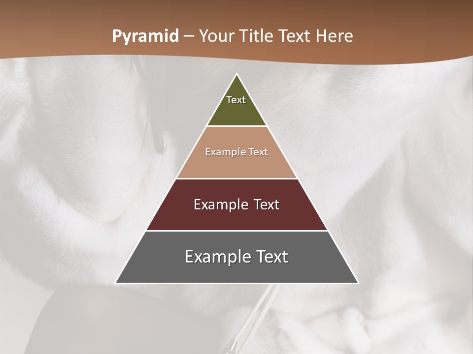 Woman Beauty Beautiful PowerPoint Template