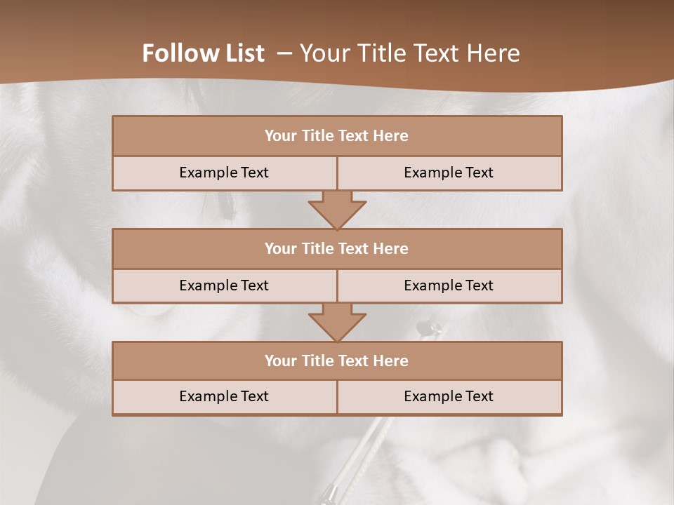 Woman Beauty Beautiful PowerPoint Template