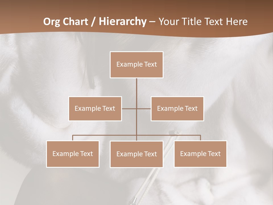 Woman Beauty Beautiful PowerPoint Template