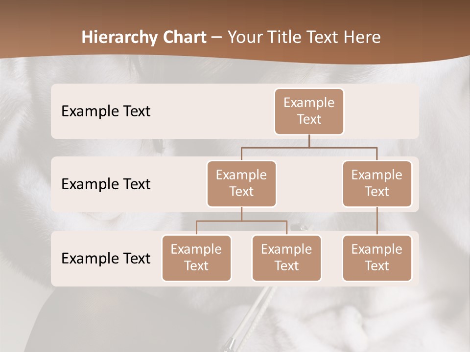 Woman Beauty Beautiful PowerPoint Template