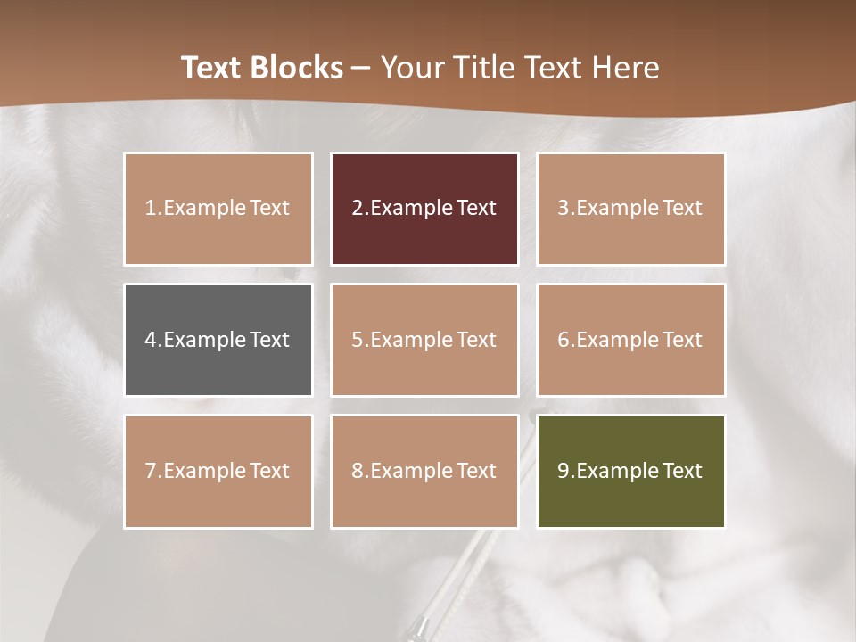 Woman Beauty Beautiful PowerPoint Template