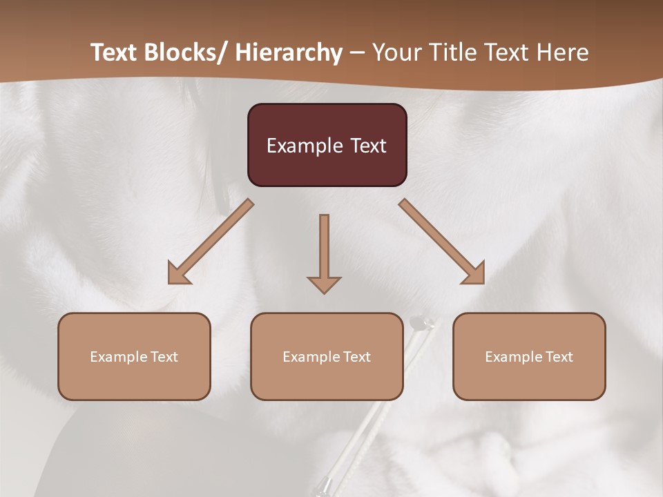 Woman Beauty Beautiful PowerPoint Template