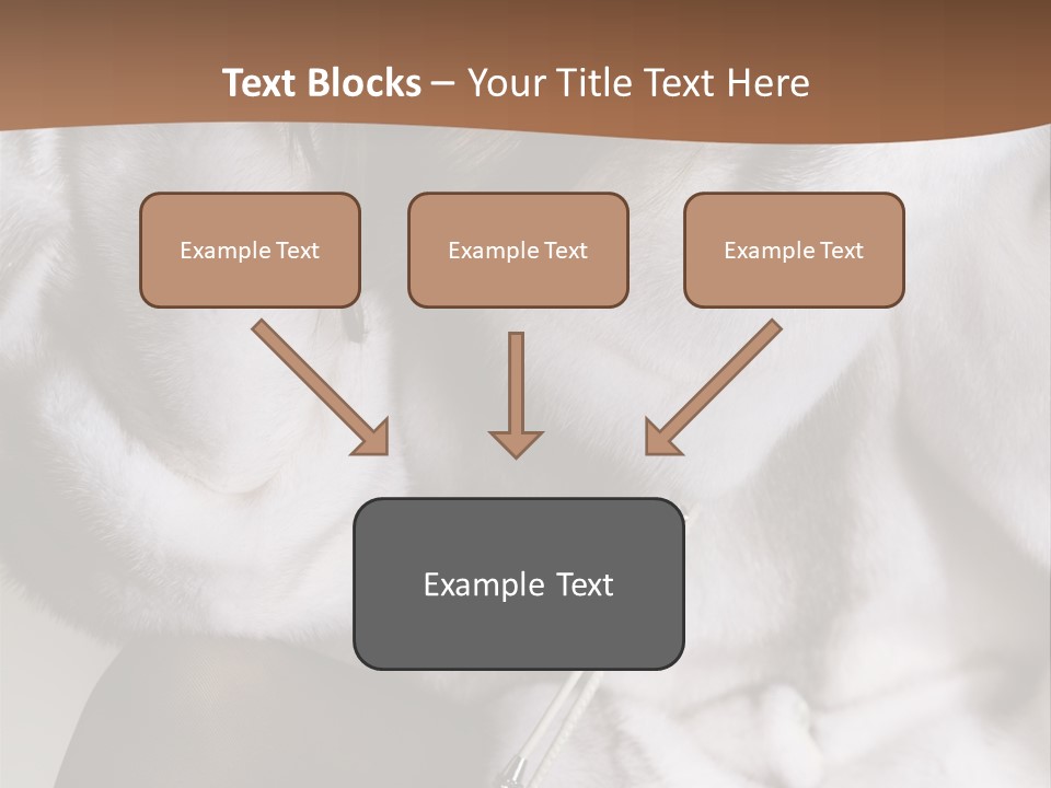 Woman Beauty Beautiful PowerPoint Template