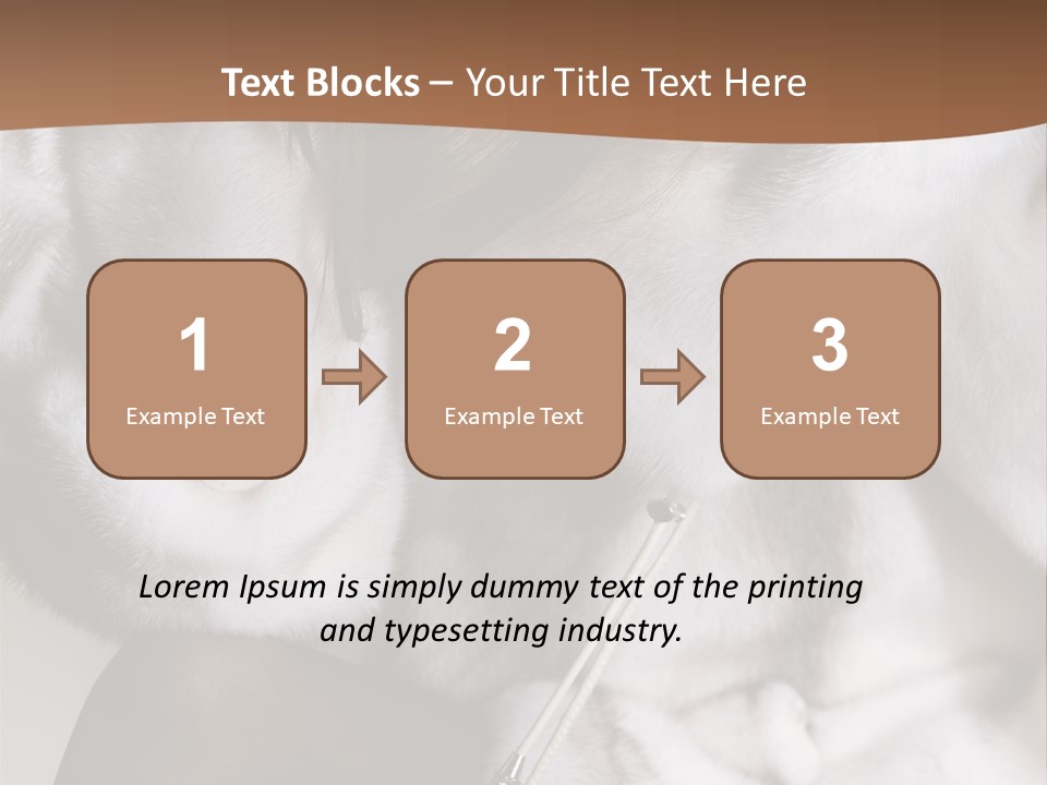 Woman Beauty Beautiful PowerPoint Template