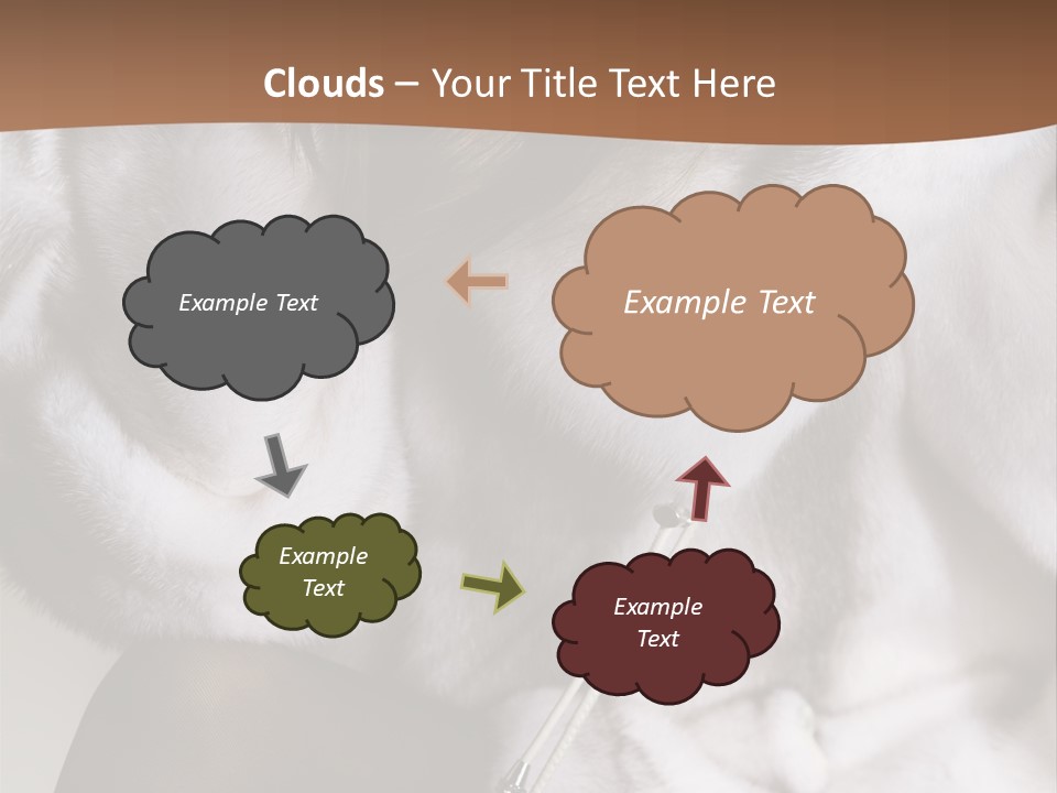 Woman Beauty Beautiful PowerPoint Template