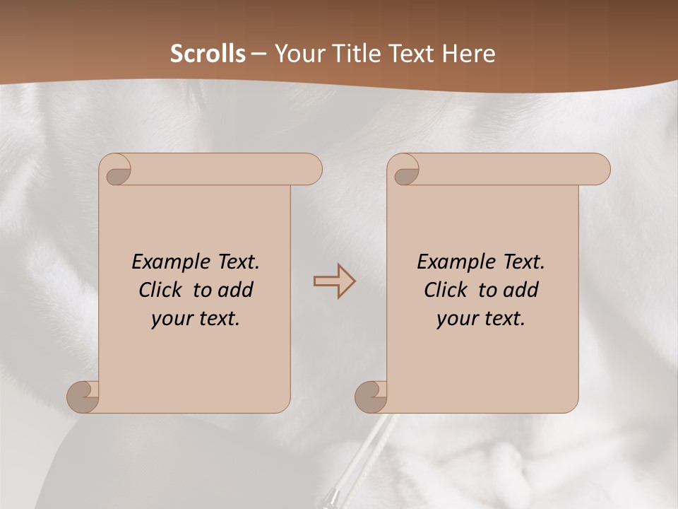 Woman Beauty Beautiful PowerPoint Template