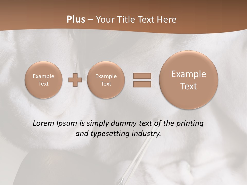 Woman Beauty Beautiful PowerPoint Template