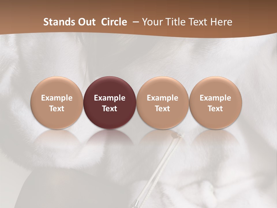 Woman Beauty Beautiful PowerPoint Template