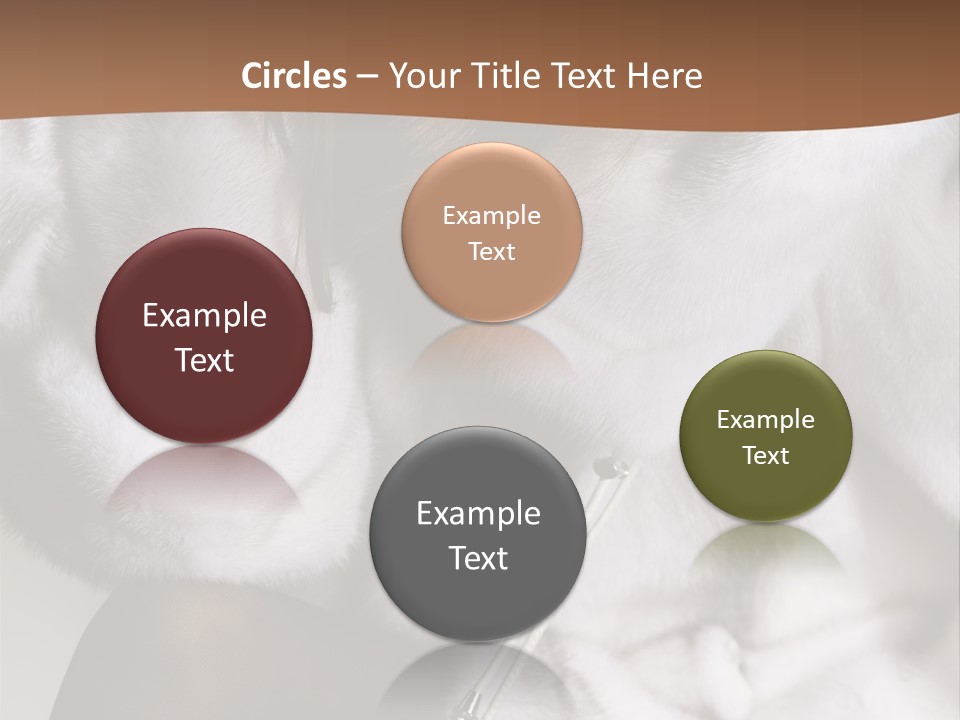 Woman Beauty Beautiful PowerPoint Template