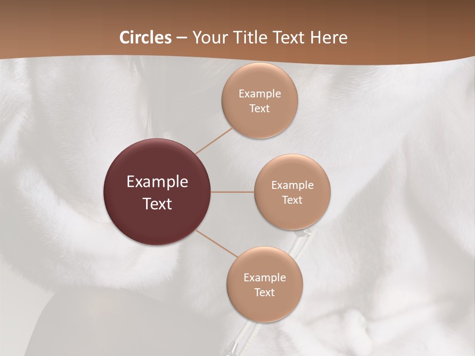 Woman Beauty Beautiful PowerPoint Template