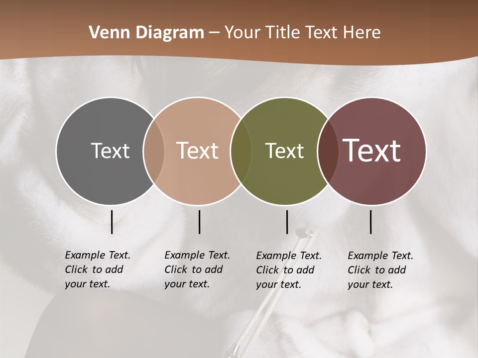 Woman Beauty Beautiful PowerPoint Template