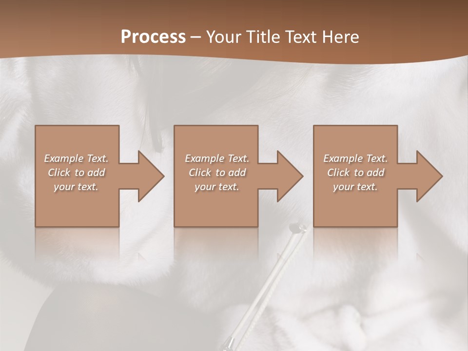 Woman Beauty Beautiful PowerPoint Template
