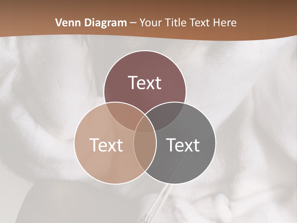 Woman Beauty Beautiful PowerPoint Template