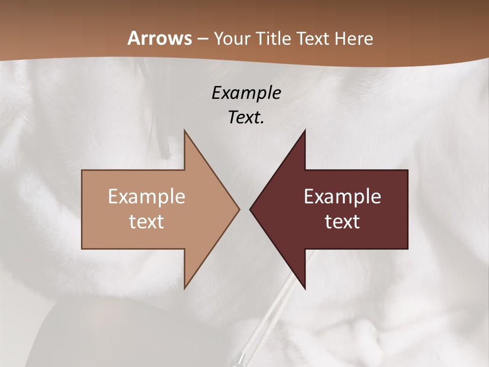 Woman Beauty Beautiful PowerPoint Template