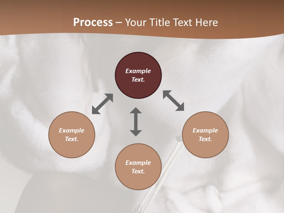 Woman Beauty Beautiful PowerPoint Template