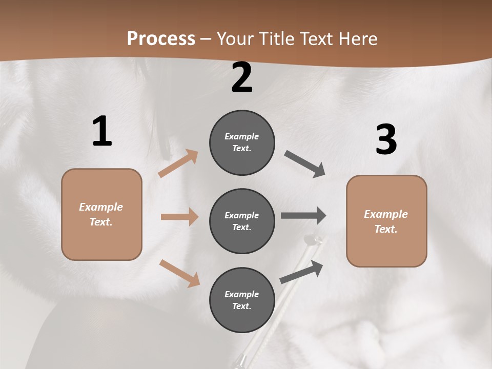 Woman Beauty Beautiful PowerPoint Template