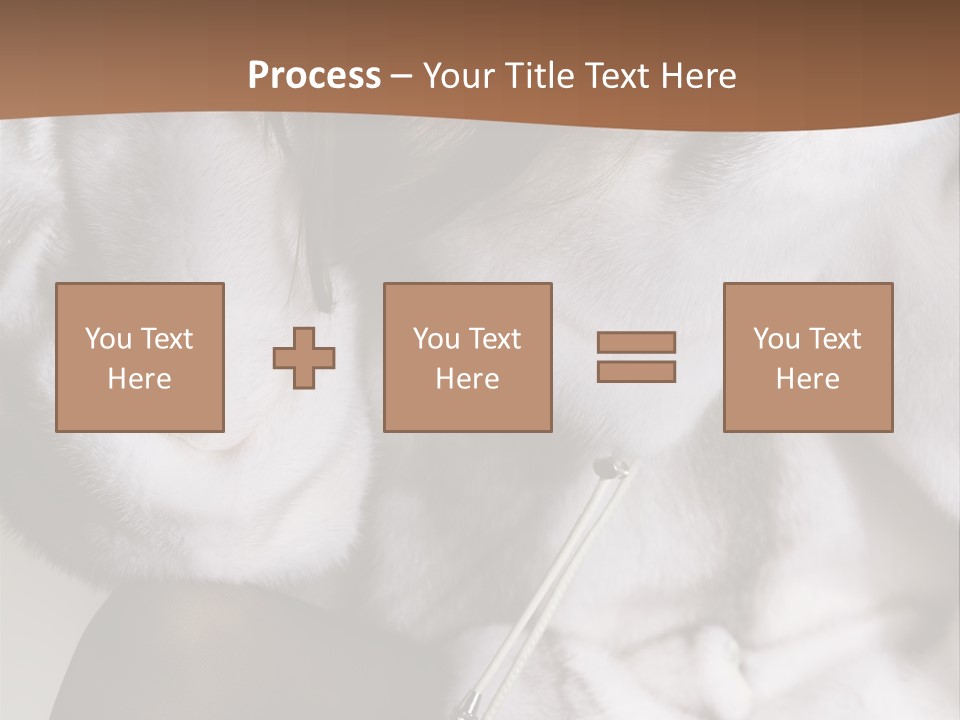 Woman Beauty Beautiful PowerPoint Template