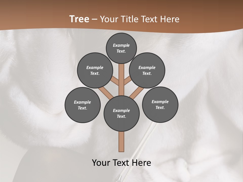 Woman Beauty Beautiful PowerPoint Template