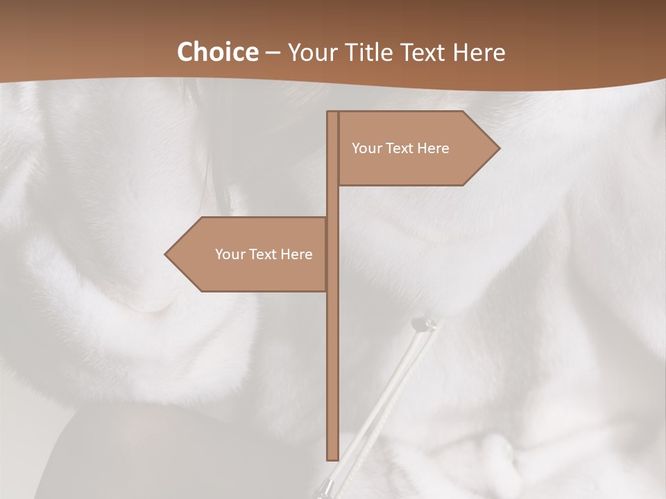 Woman Beauty Beautiful PowerPoint Template