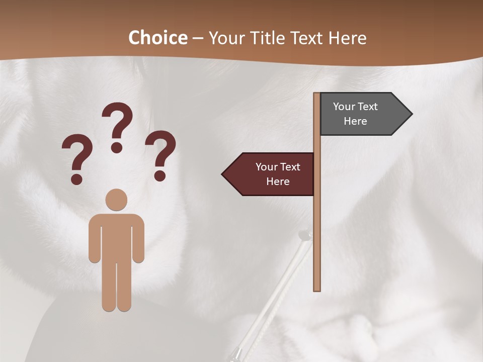 Woman Beauty Beautiful PowerPoint Template