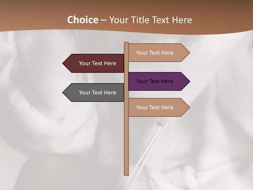 Woman Beauty Beautiful PowerPoint Template