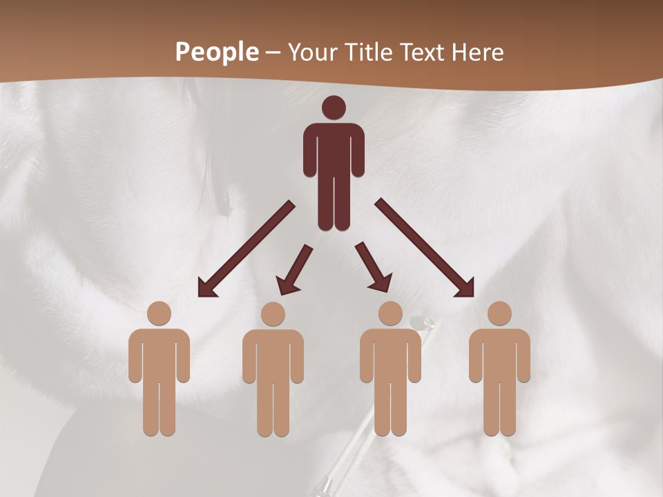 Woman Beauty Beautiful PowerPoint Template