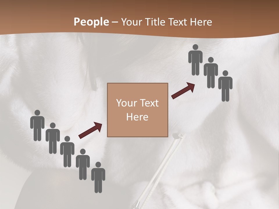 Woman Beauty Beautiful PowerPoint Template