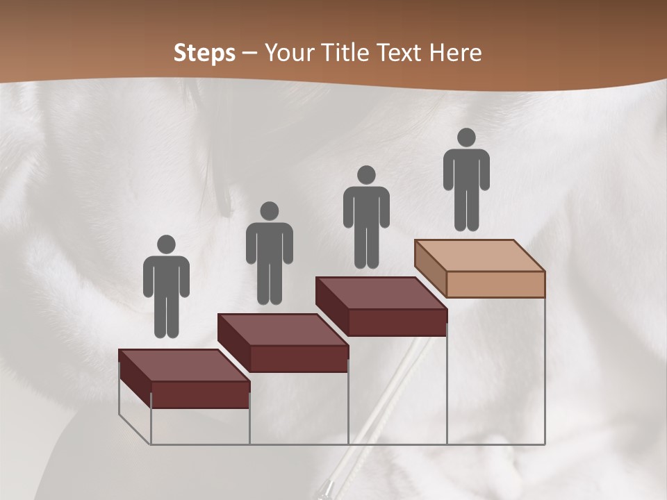 Woman Beauty Beautiful PowerPoint Template