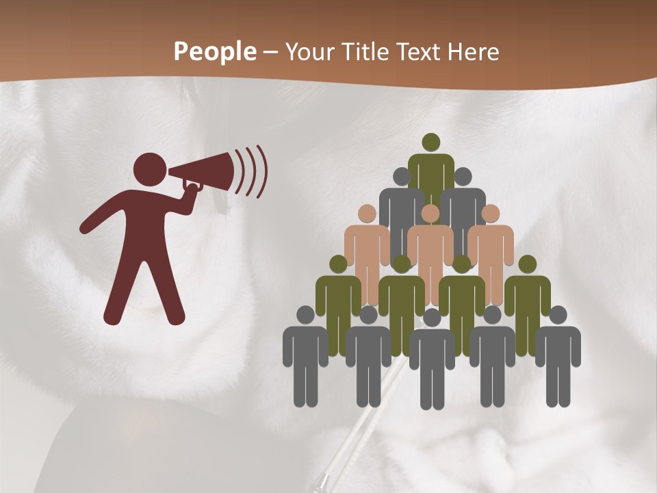 Woman Beauty Beautiful PowerPoint Template