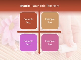 Beauty French Girl PowerPoint Template