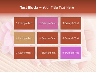 Beauty French Girl PowerPoint Template