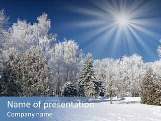 Snowfall Year Nature PowerPoint Template