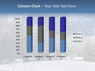 Snowfall Year Nature PowerPoint Template