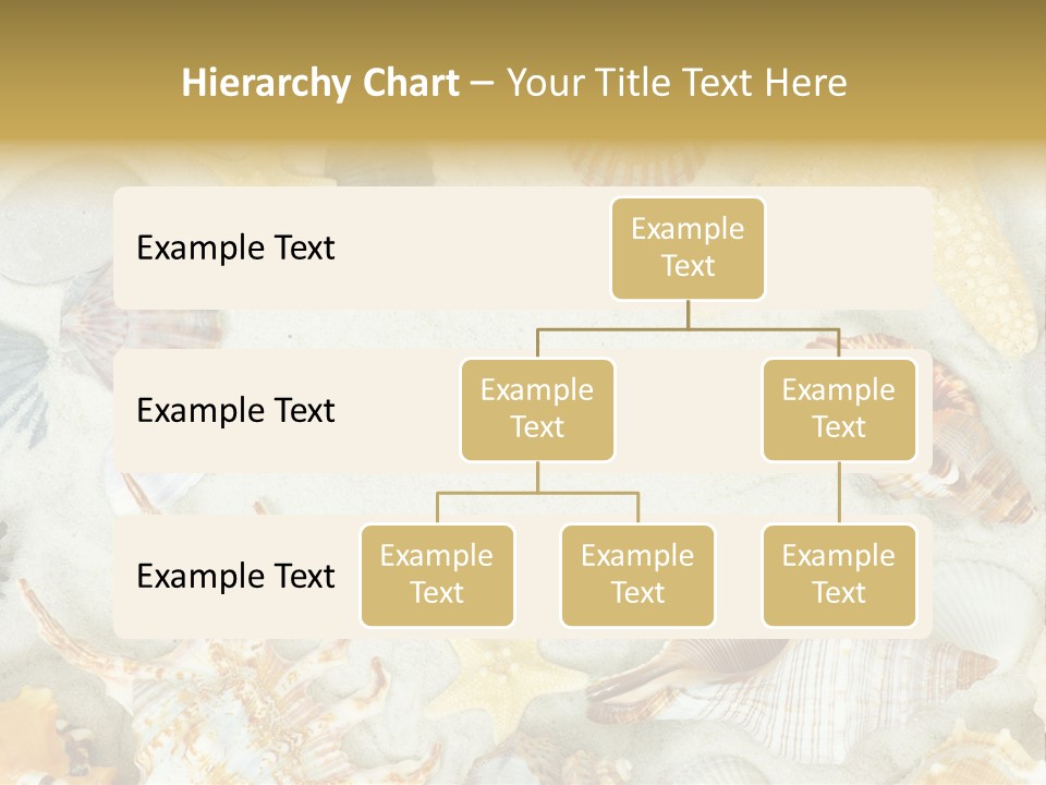 Copy Season Space PowerPoint Template